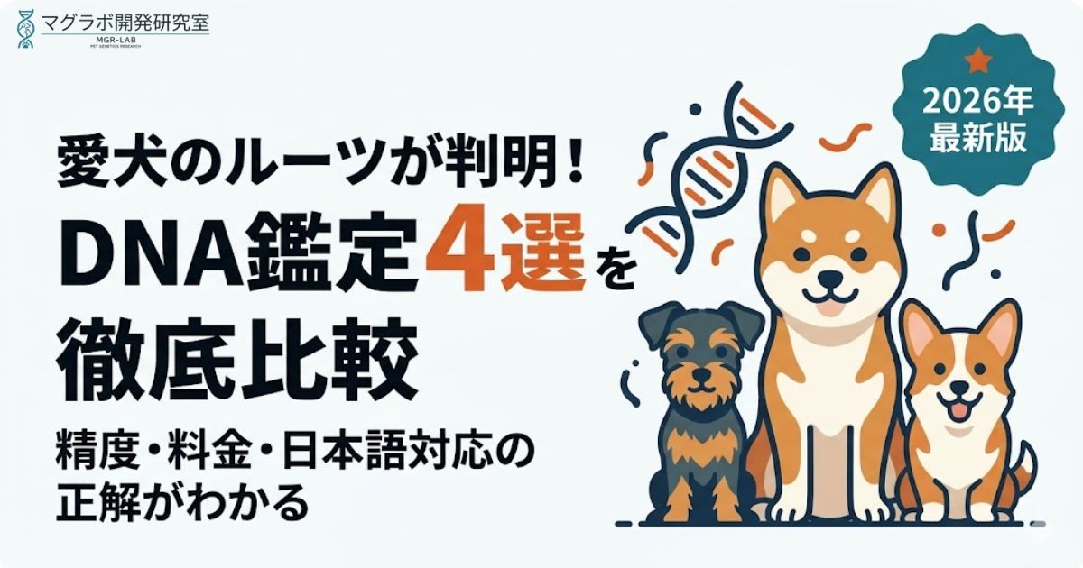 犬のDNA鑑定キットおすすめ4選の比較記事アイキャッチ。Orivet、Embark、Koko、Pontelyの比較を訴求