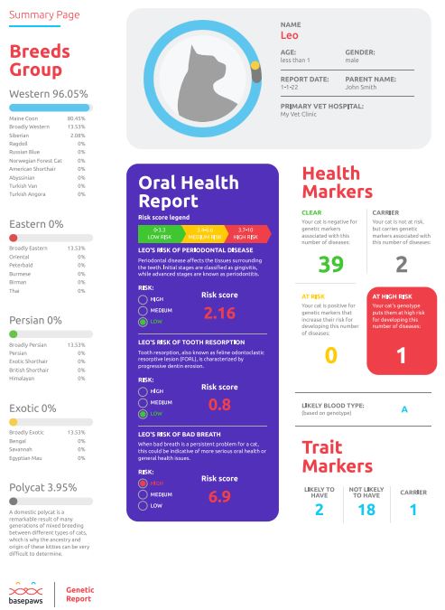 Basepawsの健康リスクレポート画面のサンプル。英語が苦手でも4段階の色分けでリスク判定を視覚的に理解できます。