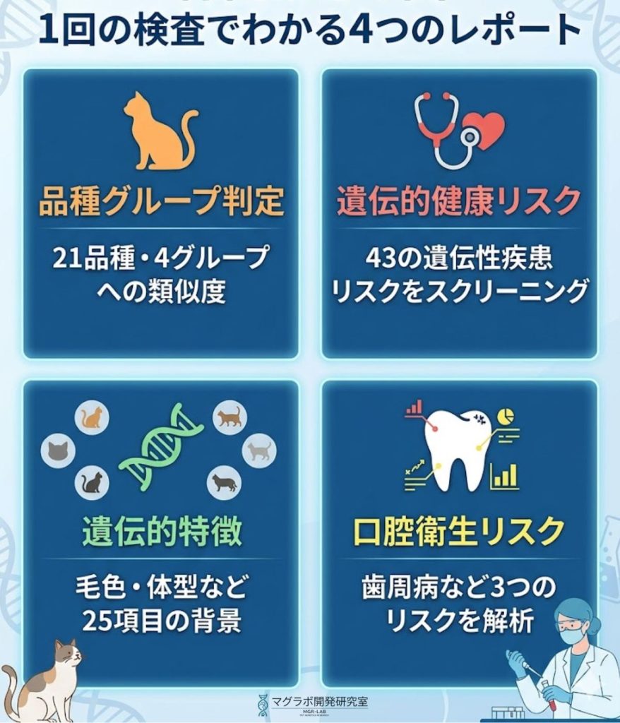 Basepawsでわかる4つの検査内容。品種グループ、遺伝的健康リスク、遺伝的特徴、口腔衛生リスクが1回の検査で調べられる