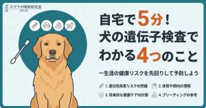 犬の遺伝子検査の解説アイキャッチ。自宅で5分でできる検査でわかる4つのことや一生涯の健康リスク予防について訴求