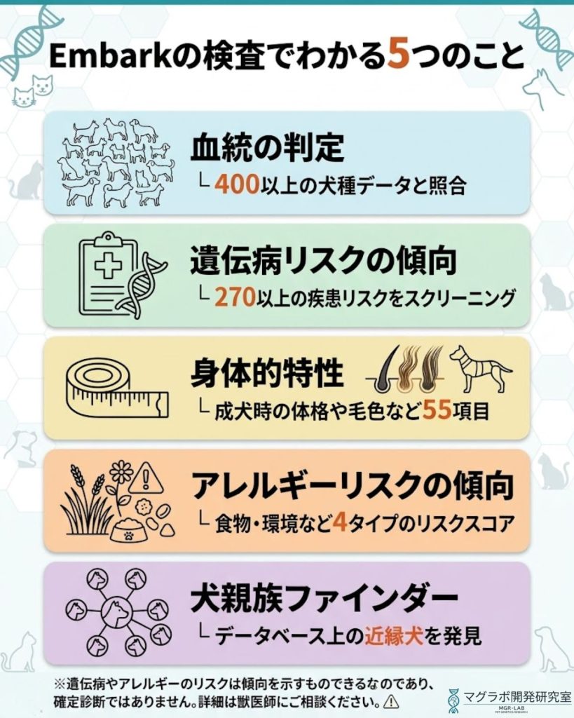 Embarkでわかる5つのこと。血統判定、遺伝病リスクの傾向、身体的特性、アレルギーリスクの傾向、犬親族ファインダーを図解