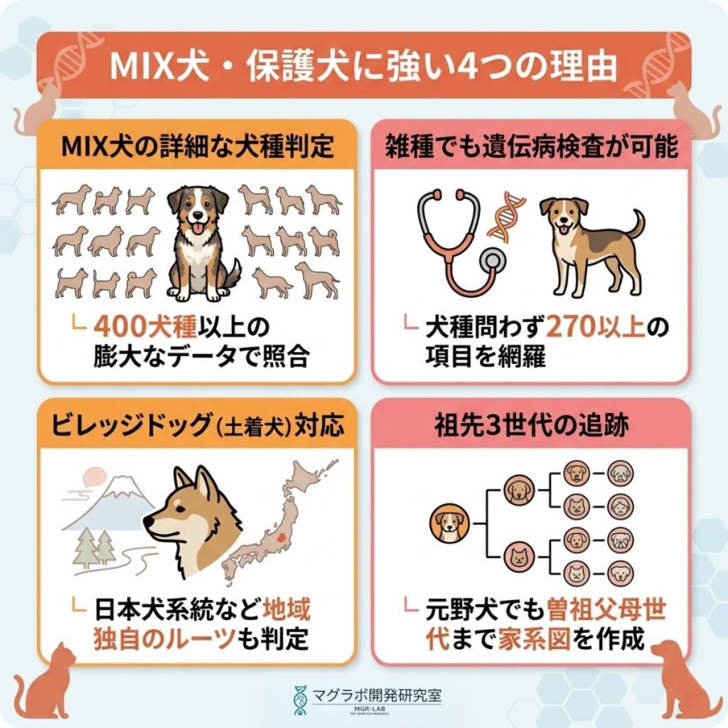 EmbarkがMIX犬・保護犬に強い4つの理由。詳細な犬種判定、雑種の遺伝病検査、ビレッジドッグ対応、祖先3世代の追跡を図解