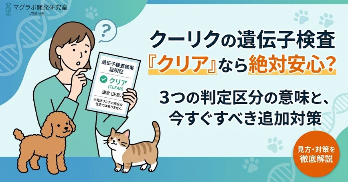 クーリク遺伝子検査の解説記事アイキャッチ。「クリア」判定の意味や3つの区分の見方、購入後の追加対策を解説する内容を訴求