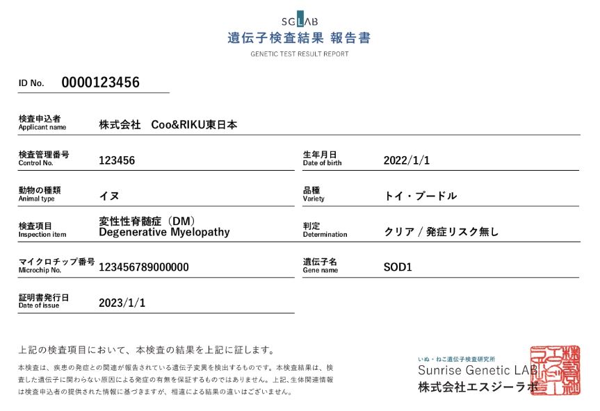 クーリクで発行される遺伝子病検査結果報告書の実物写真