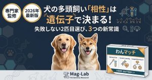 犬の多頭飼いにおける相性を遺伝子検査で診断することを訴求したアイキャッチ。幸せそうな2匹の犬とDNAモチーフのデザイン。