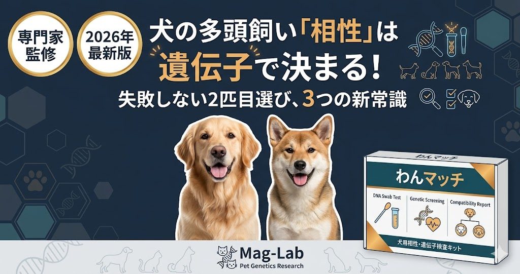 犬の多頭飼いにおける相性を遺伝子検査で診断することを訴求したアイキャッチ。幸せそうな2匹の犬とDNAモチーフのデザイン。