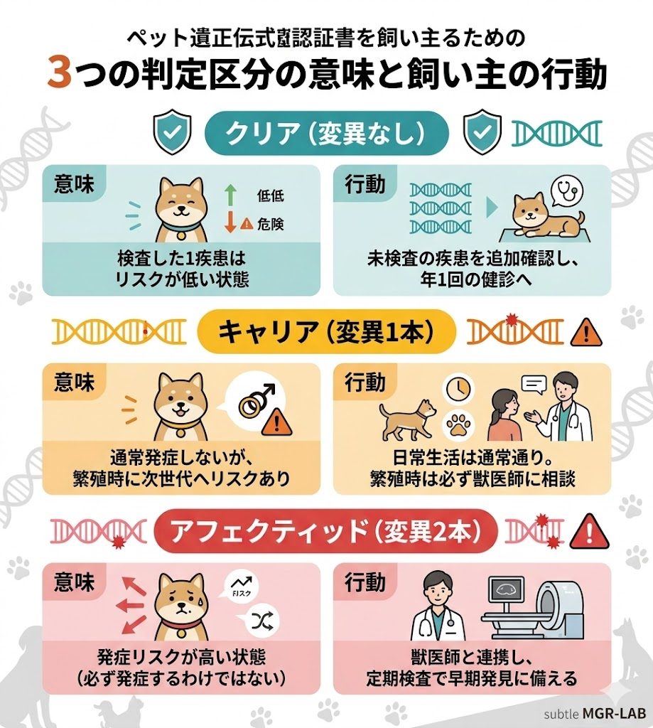 クーリク遺伝子検査の3つの判定区分を図解。クリア、キャリア、アフェクティッドそれぞれの意味と、飼い主がとるべき具体的な行動を整理