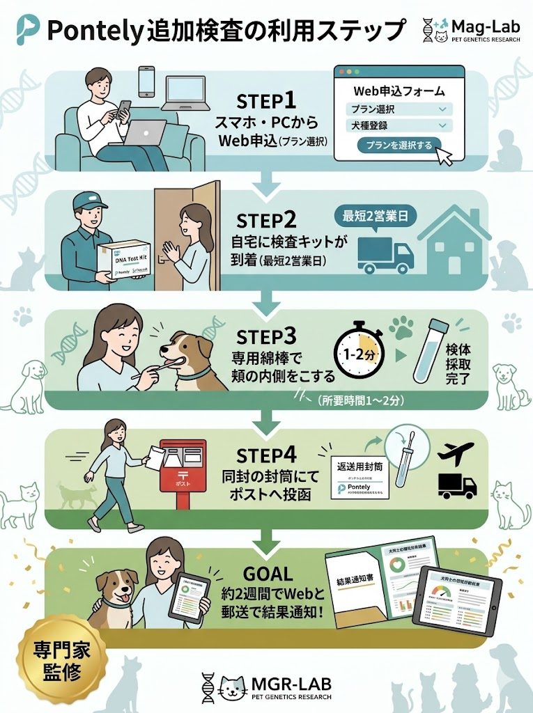Pontelyでの追加検査ステップを図解。Web申込からキット到着、綿棒での採取、ポスト投函を経て、約2週間で結果通知が来るまでの流れ