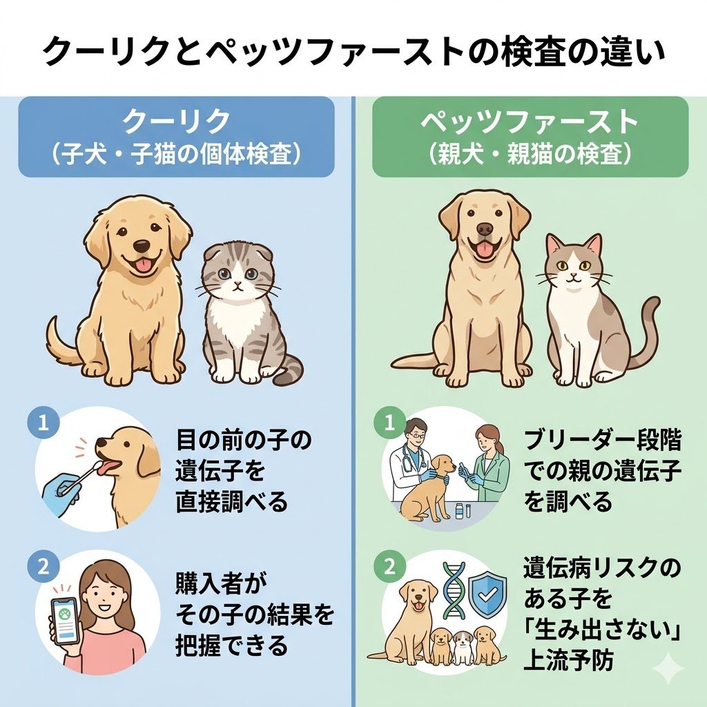 クーリクとペッツファーストの遺伝子検査の違いを図解。子犬個体を調べるクーリクと、親犬を調べて上流予防するペッツファーストの思想の差を比較