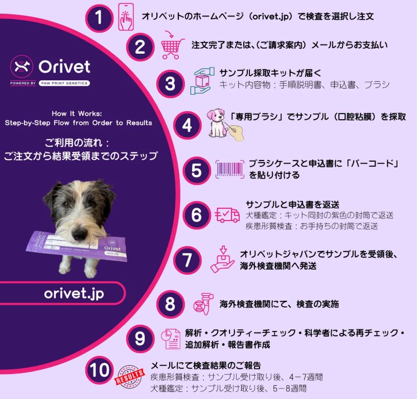 オリベット公式サイトに記載されたDNA採取キットと検査の流れ