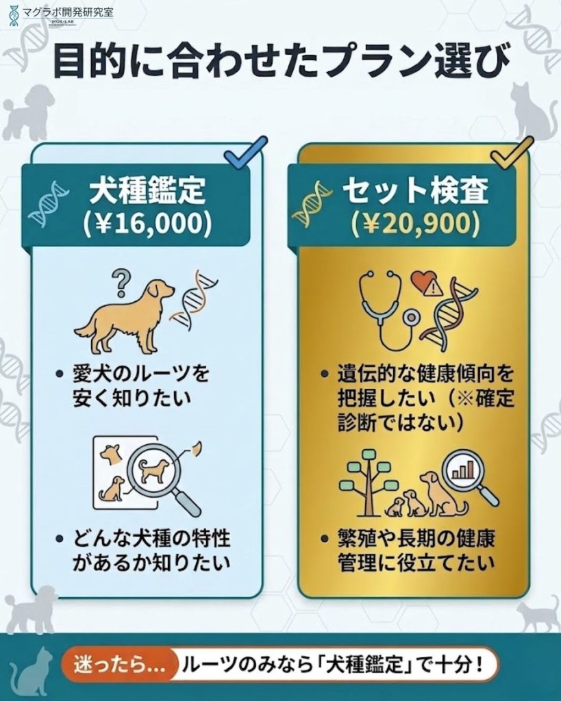 オリベットのプラン選びガイド。犬種鑑定のみとセット検査のどちらが適しているかを、目的別に整理。